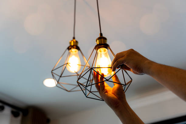 Best Commercial Electrician Services  in Lealman, FL