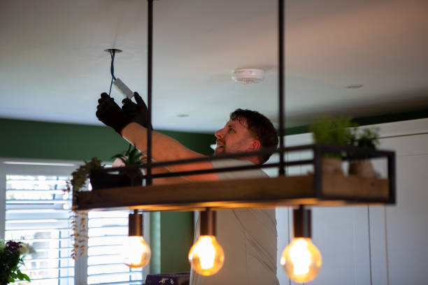 Best Outdoor Lighting Installation  in Lealman, FL